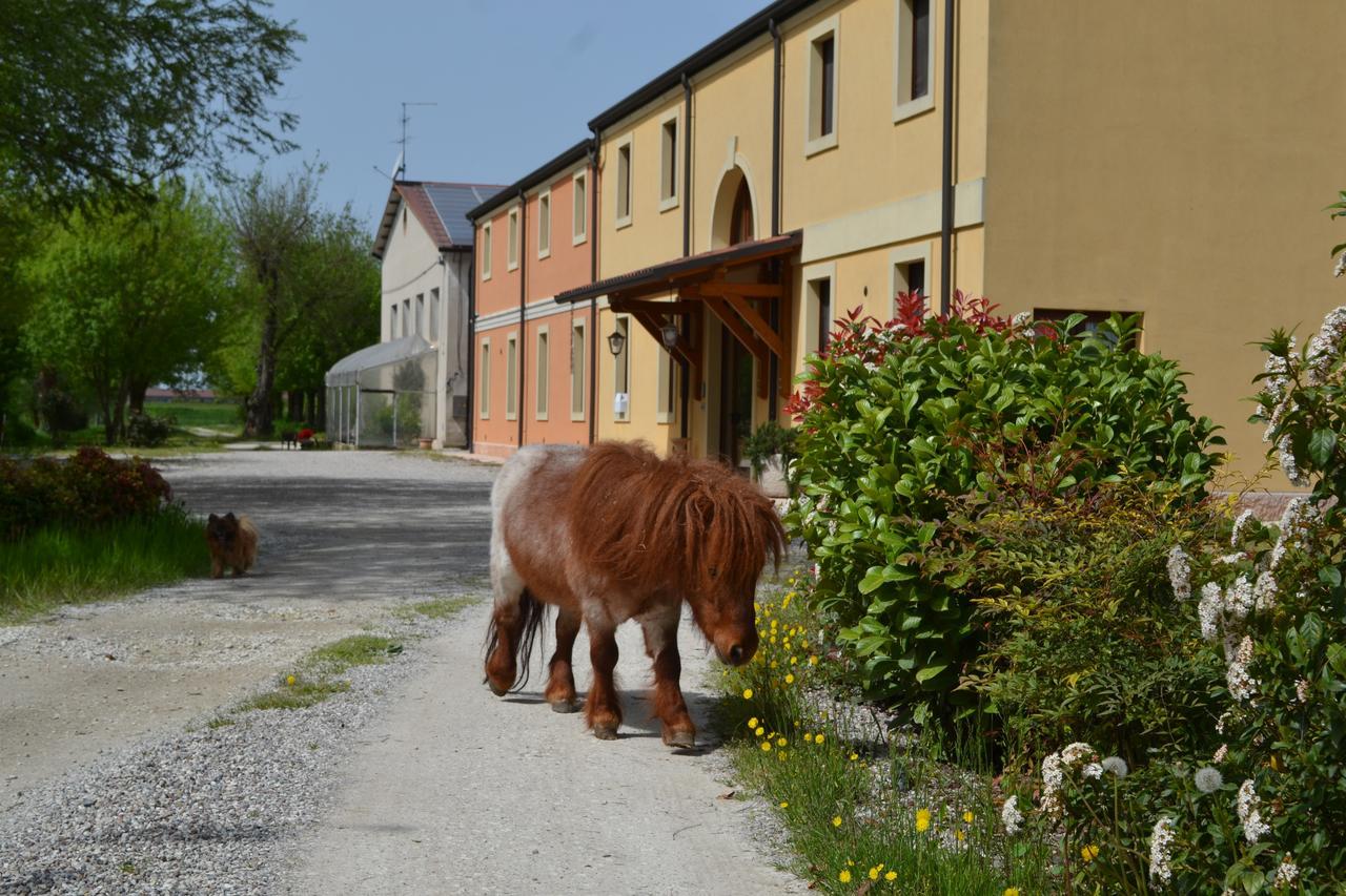 Agriturismo Otto Ducati D'Oro Isola della Scala Exterior foto